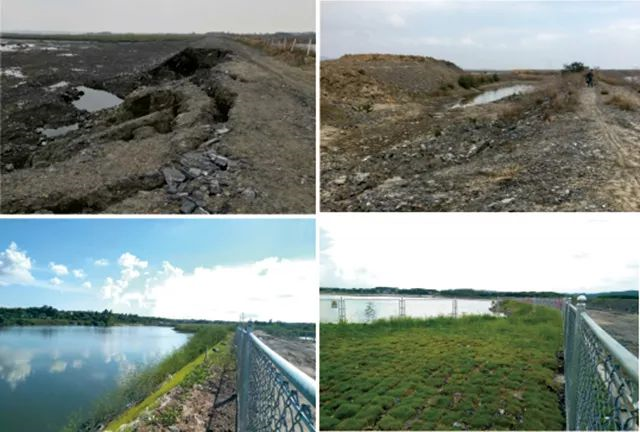 5c1cafac20974.png 6.png